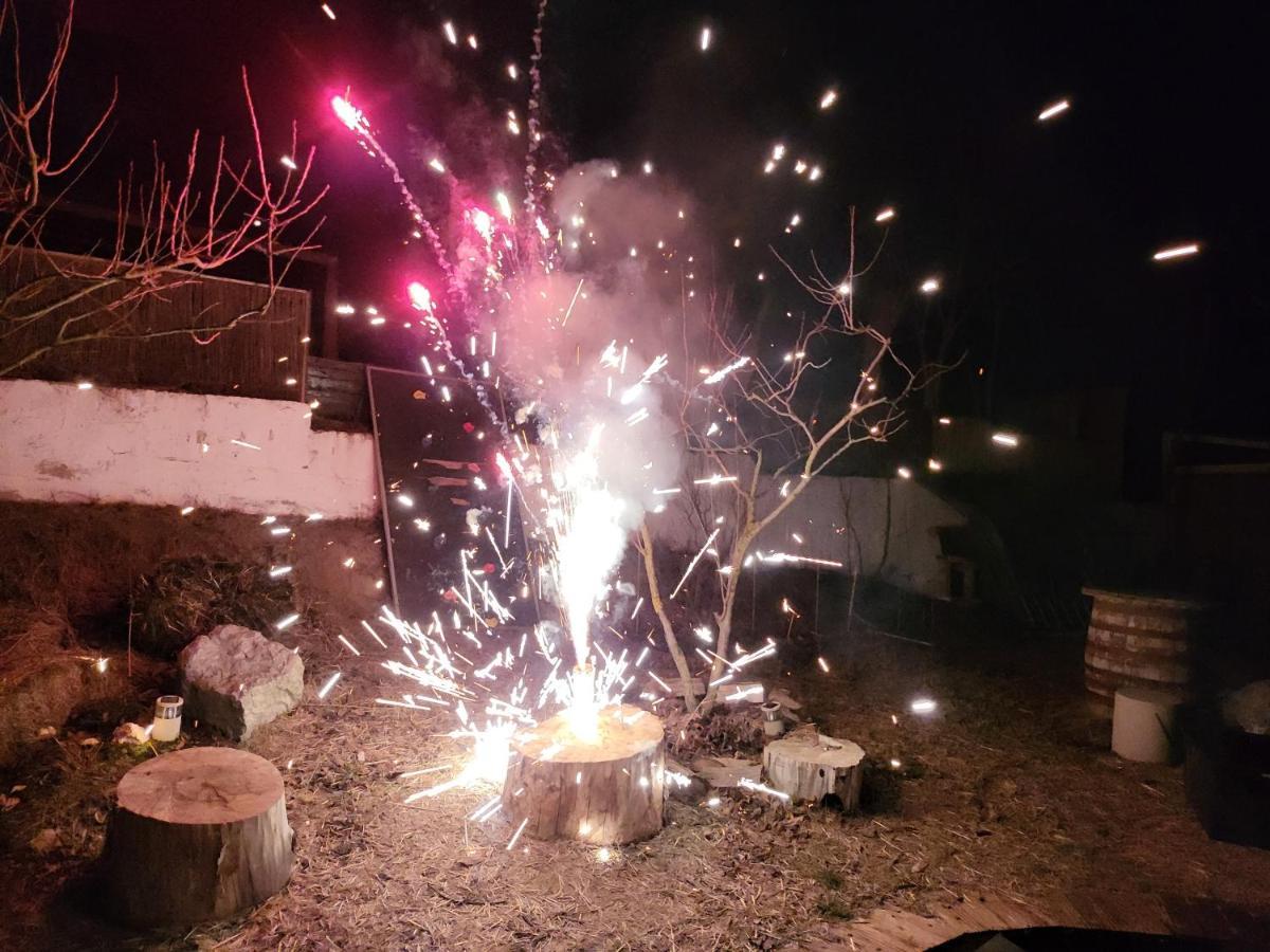 Pensiunea 4 Salcii Baltenii de Sus Luaran gambar
